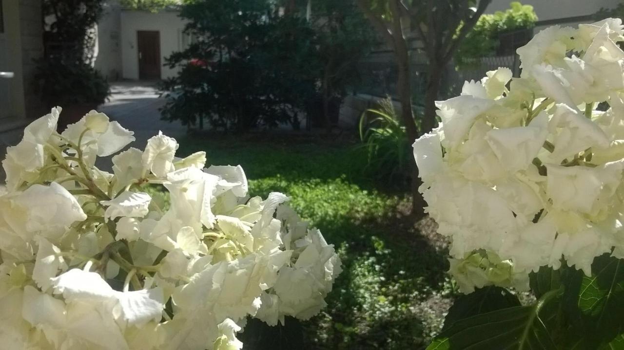Apartman Renata Omiš Esterno foto